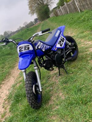 Kit déco Pewee 50
